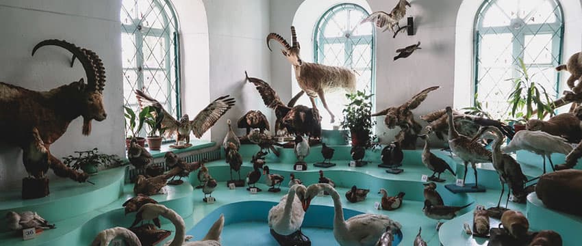 Kyrgyzstan Museums
