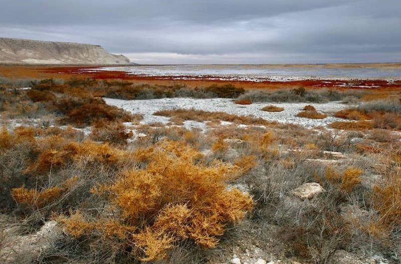 The Aral Sea (4 By Magnitude) A Mirage Or Reality?