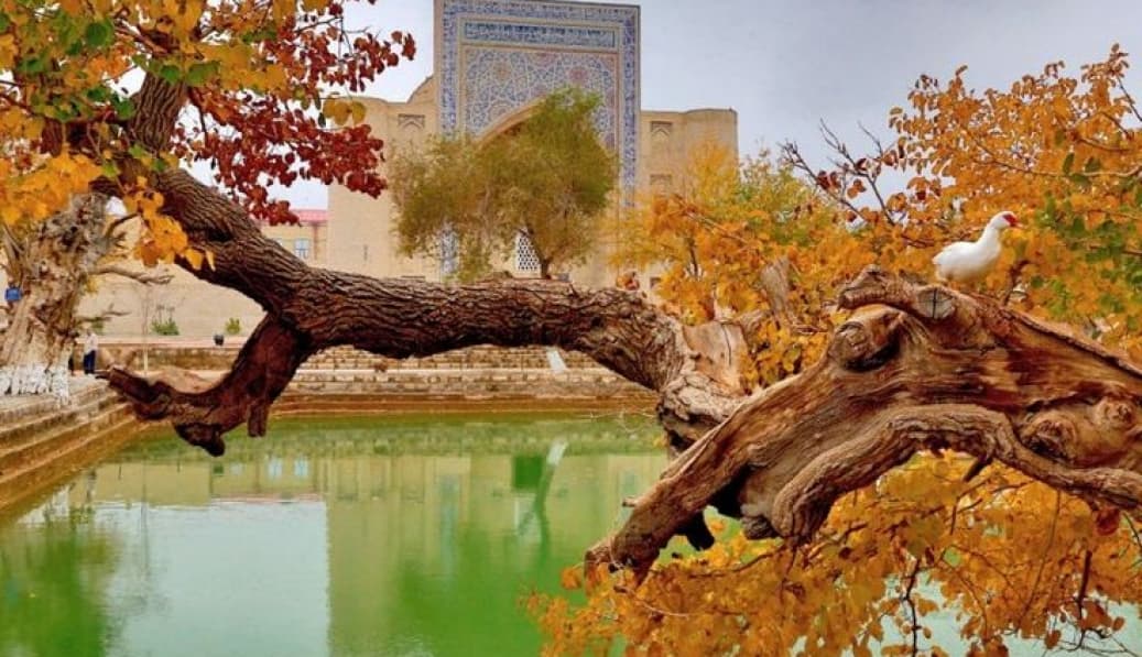 Tours to Uzbekistan for September 2022