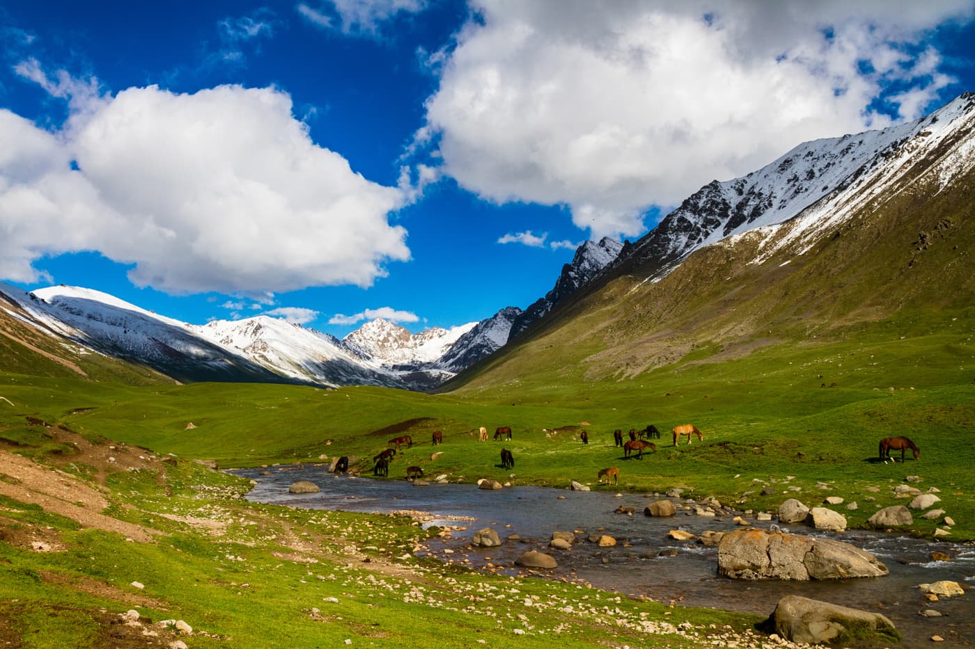 Tours in Kyrgyzstan - holidays in Issyk-Kul "Pearl of Kyrgyzstan"