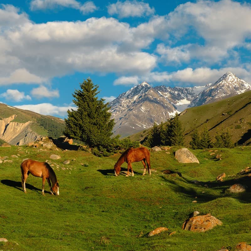 Author tours to Kyrgyzstan