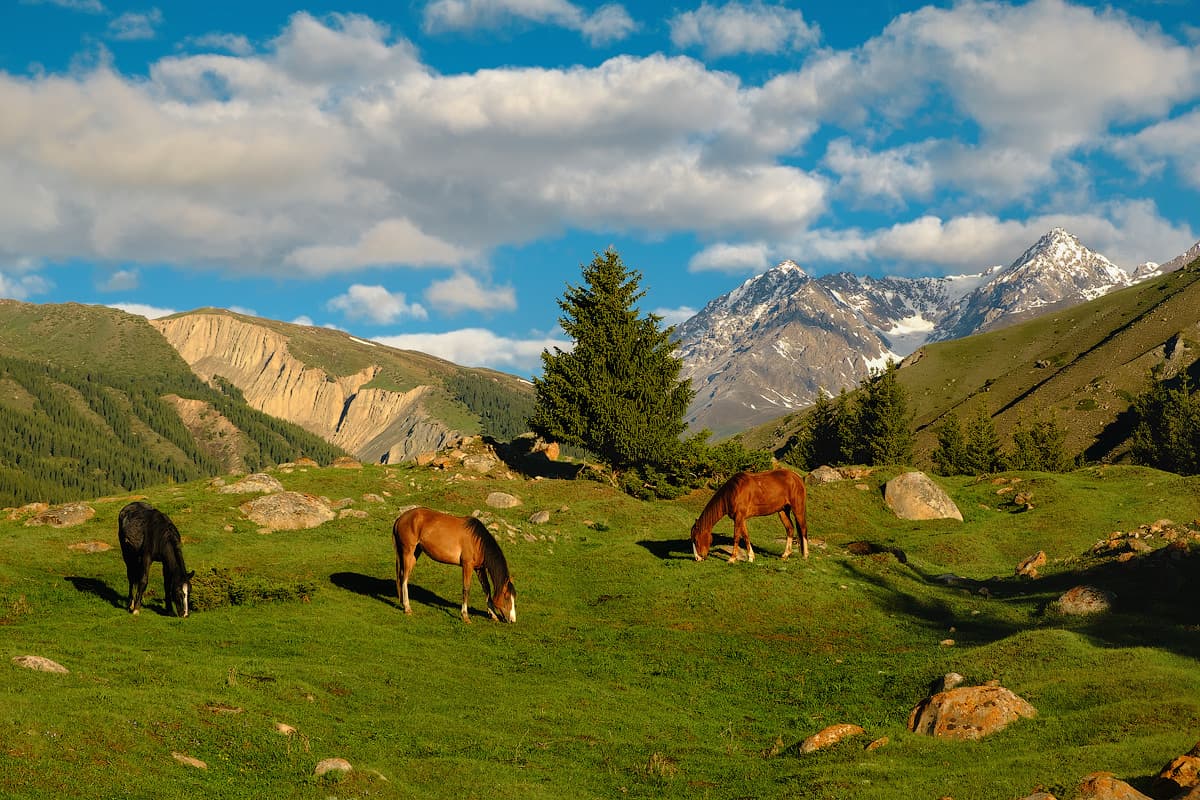 Offer of the season - Let's go to Kyrgyzstan