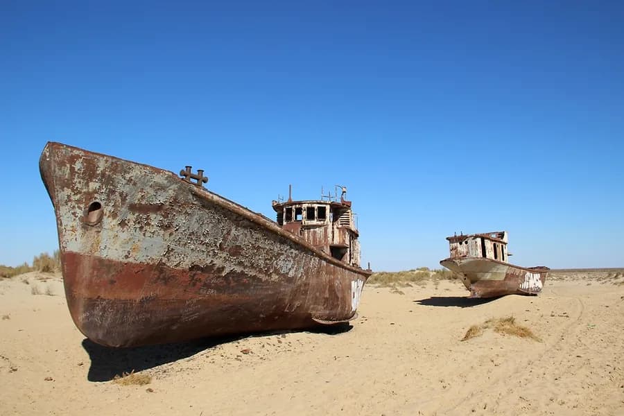 The Untold Story of the Aral Sea: Nature, Loss and Regeneration