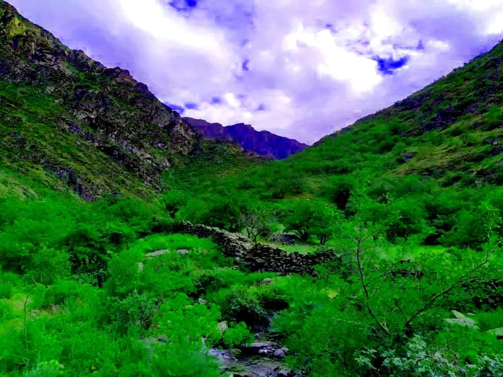 Mountain Escapes: Hiking and Nature in the Tian Shan and Nuratau
