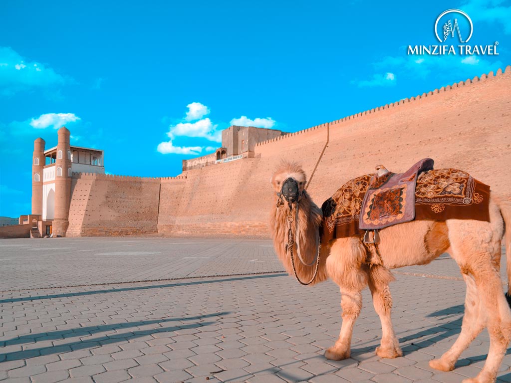 Unraveling the Path: Where Did the Silk Road Travel Through? Insights by Minzifa Travel