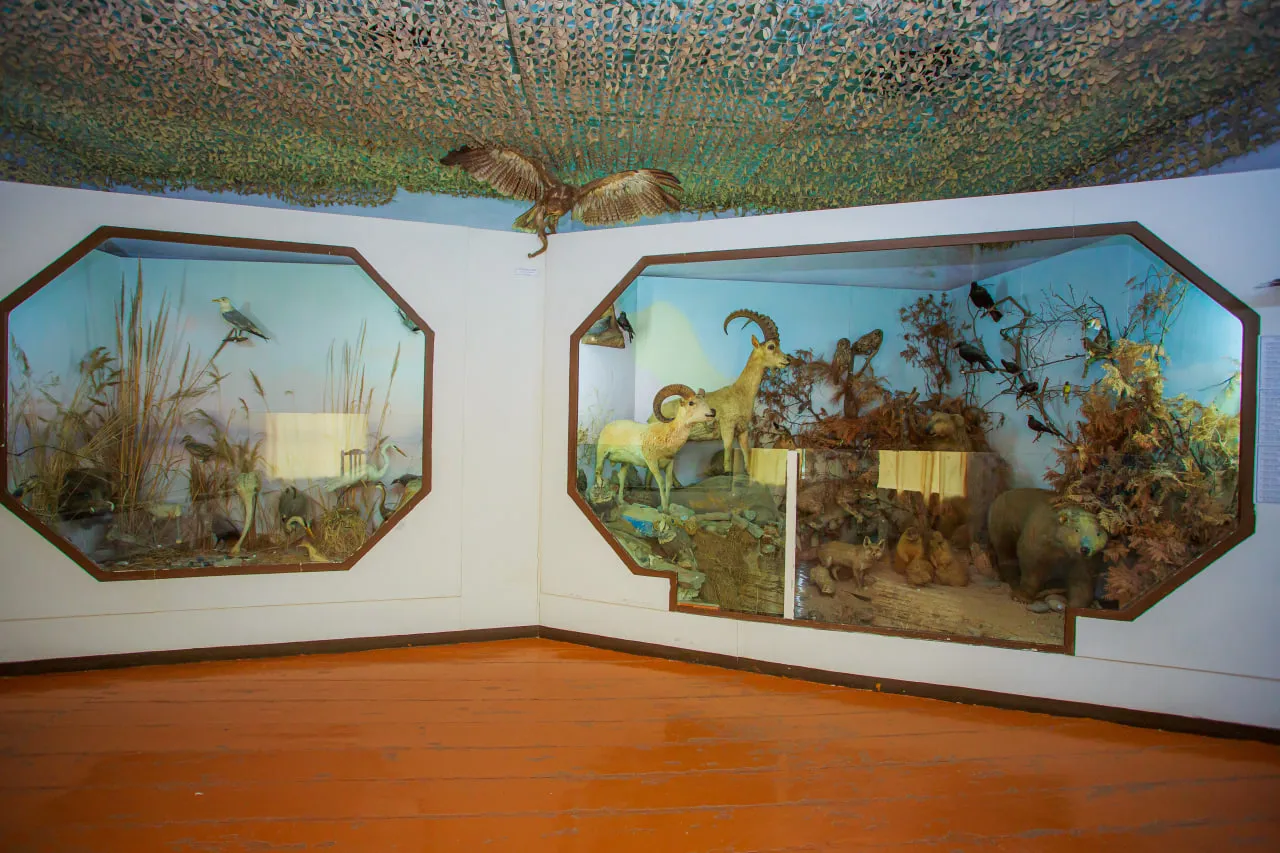 Contemporary Museum Art Spaces as Living Labs