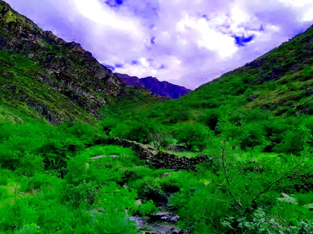 Mountain Escapes: Hiking and Nature in the Tian Shan and Nuratau