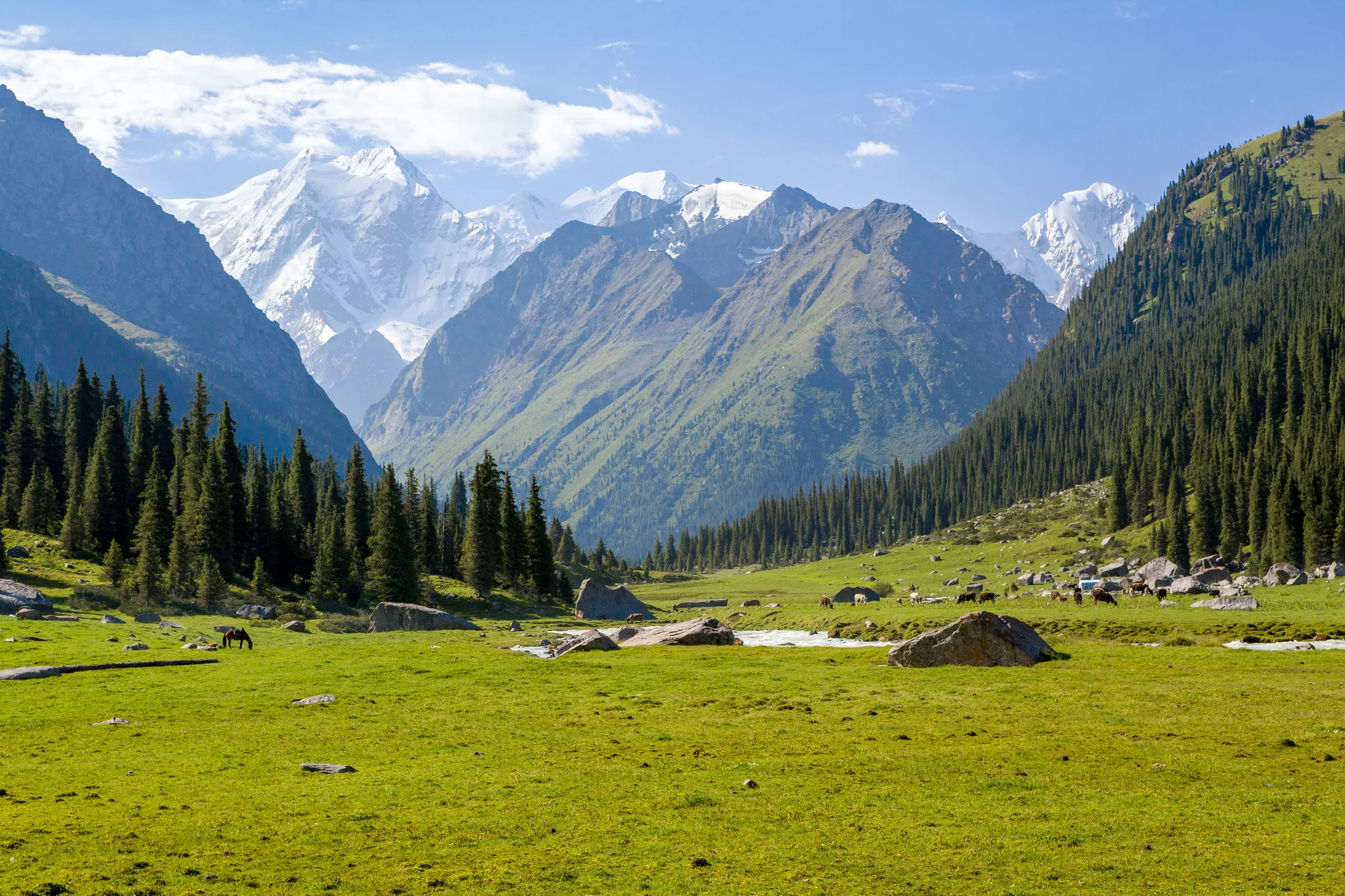 Top-rated travel insurance companies for Central Asia trips