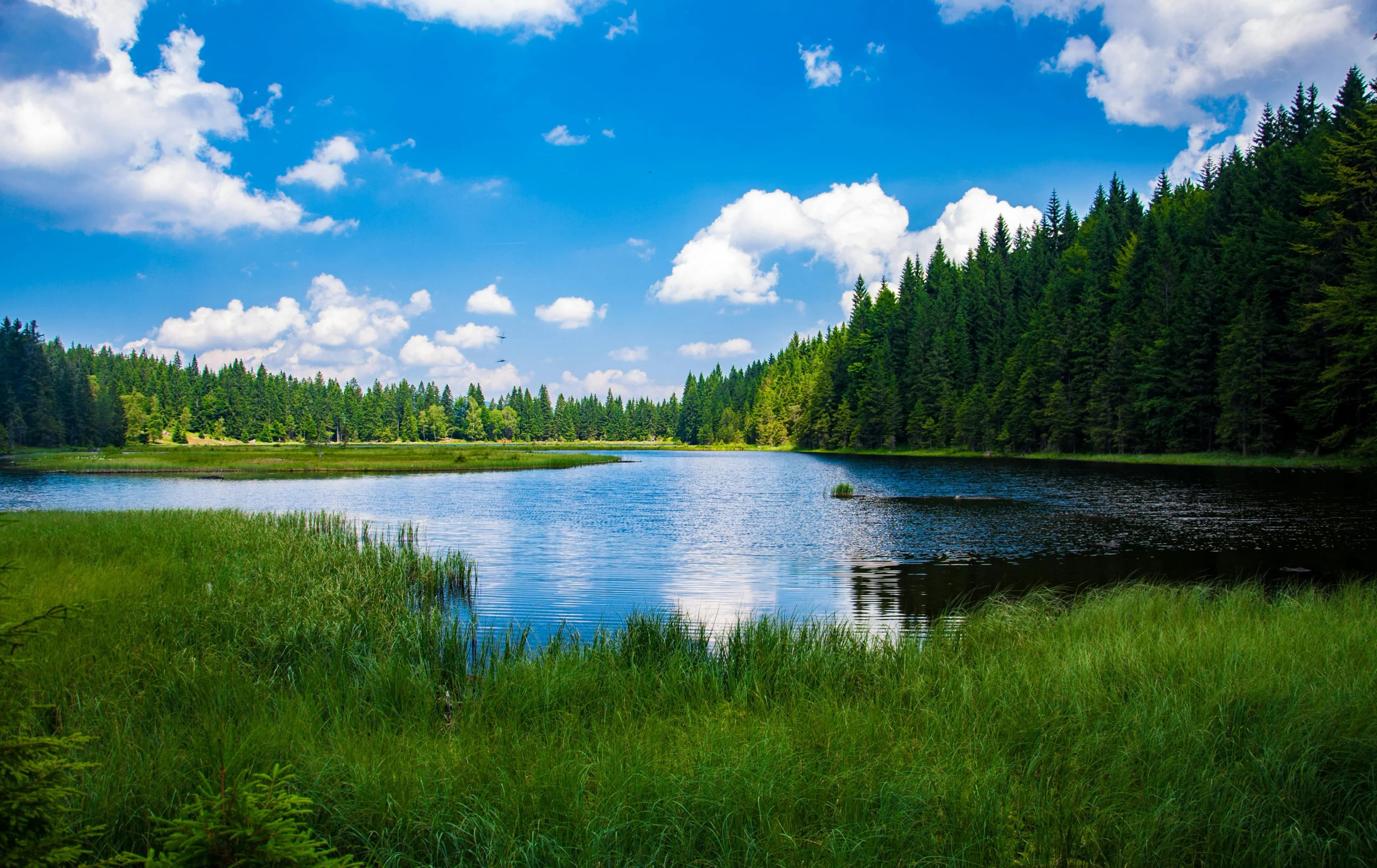 Экотуризм - Minzifa Travel