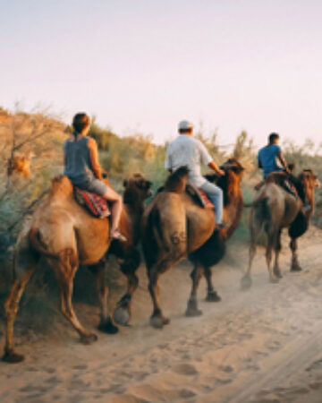 Tracing Origins: Where Did the Silk Road Travel From? Explore with Minzifa Travel