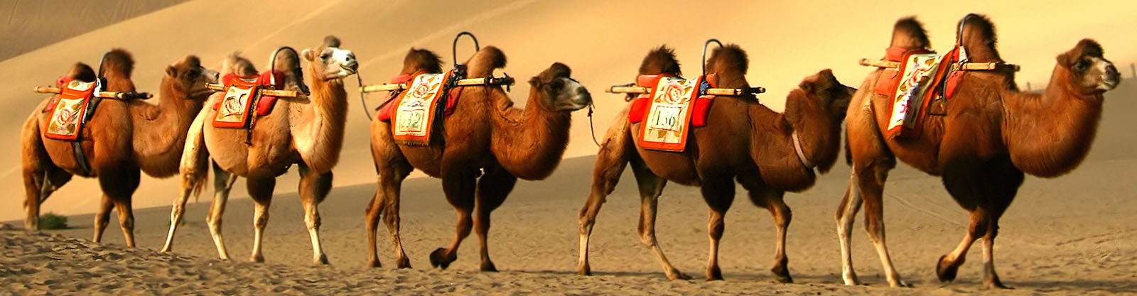 Embark on an Unforgettable Journey: Discover the Silk Road Tour with Minzifa Travel