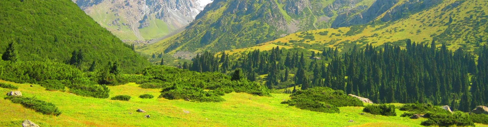 Uzbekistan Extension Tours
