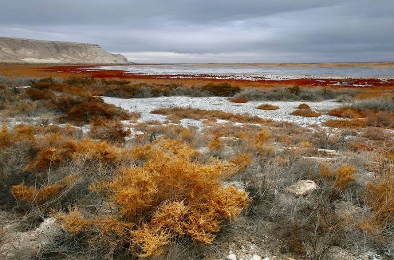 The Aral Sea (4 By Magnitude) A Mirage Or Reality?