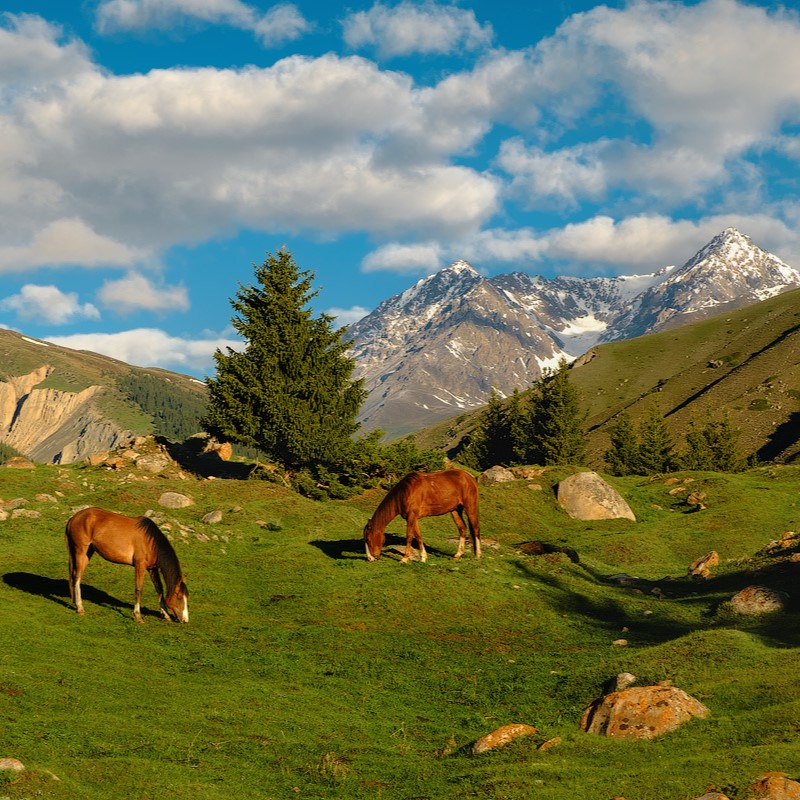 Author tours to Kyrgyzstan