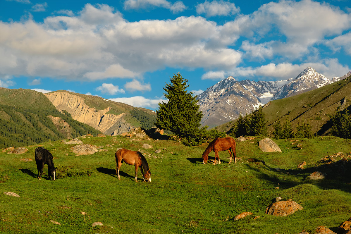 Offer of the season - Let's go to Kyrgyzstan