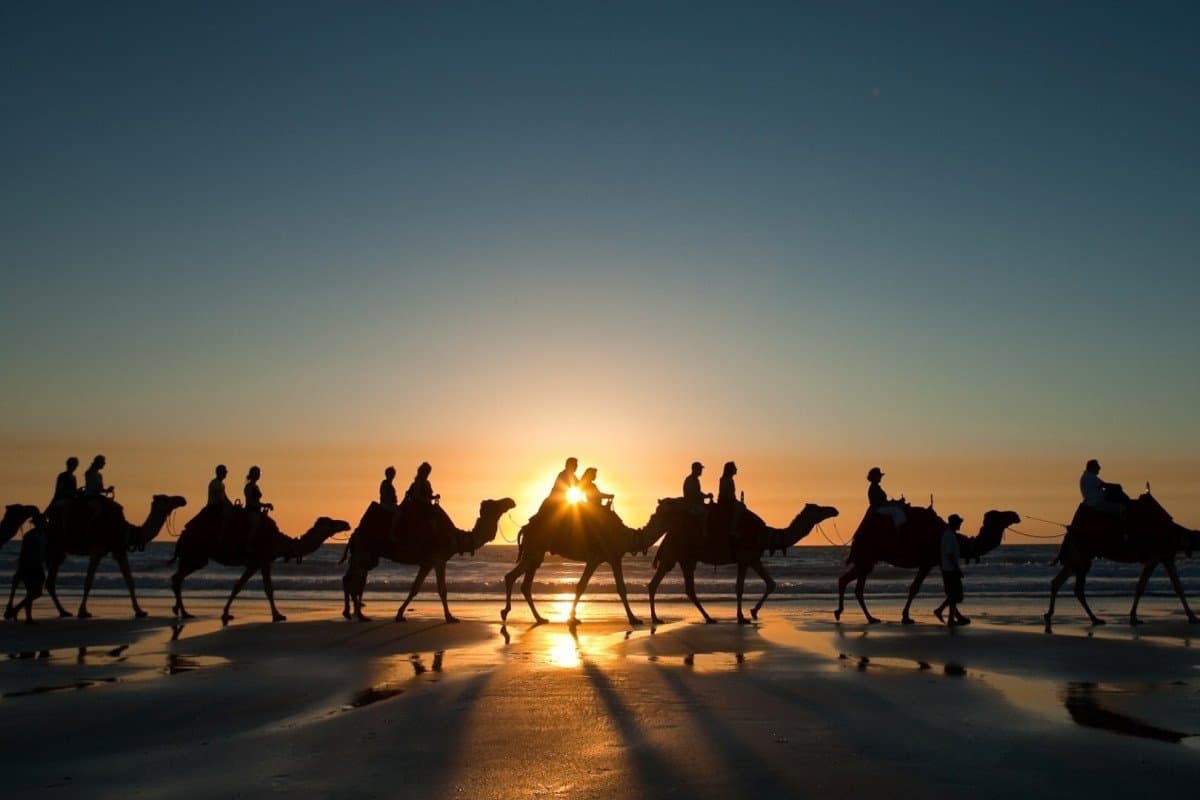 Explore the Wonders of the Silk Road with Minzifa Travel's Trips