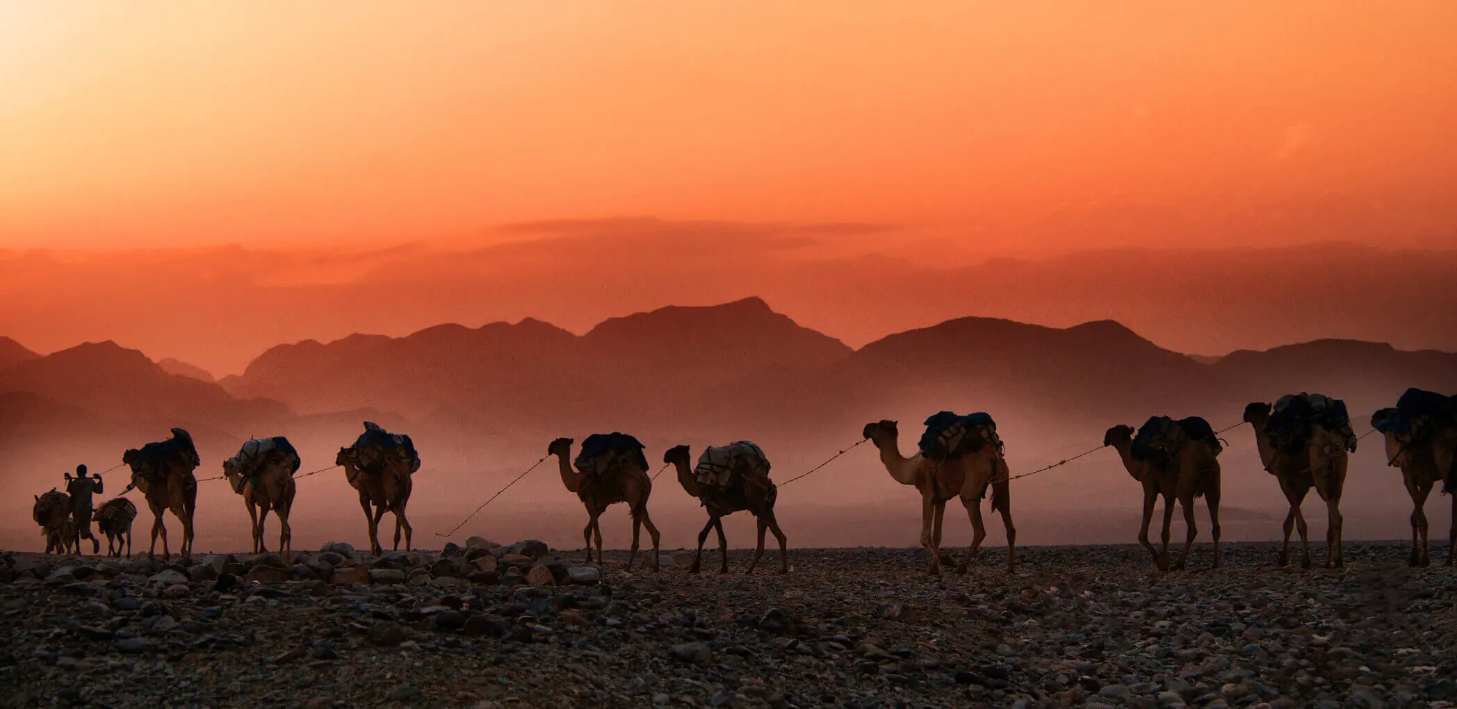 Unveiling the Purpose: Why Did the Silk Road Travel? Discover with Minzifa Travel