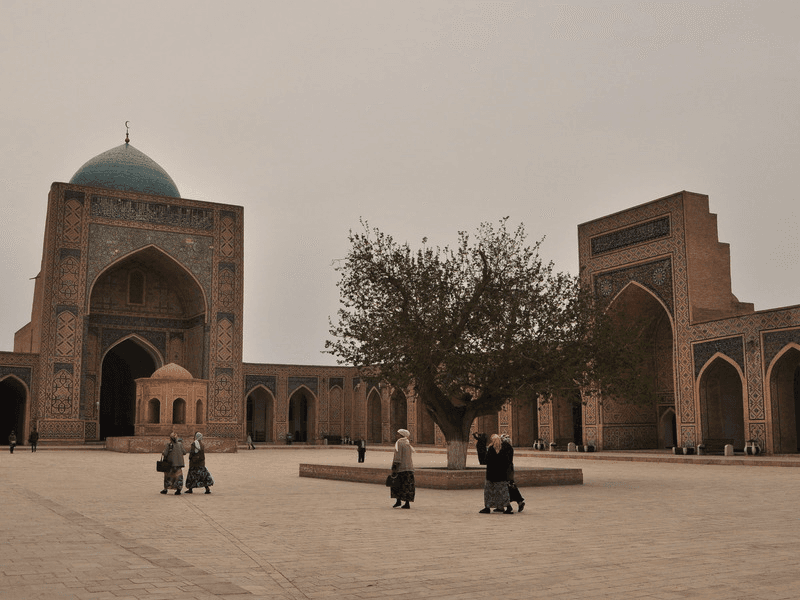 Discover the Best of Bukhara with Minzifa Travel