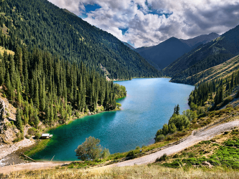Travel Agency - Minzifa Travel: Your Ultimate Guide to the Best Tours and Experiences