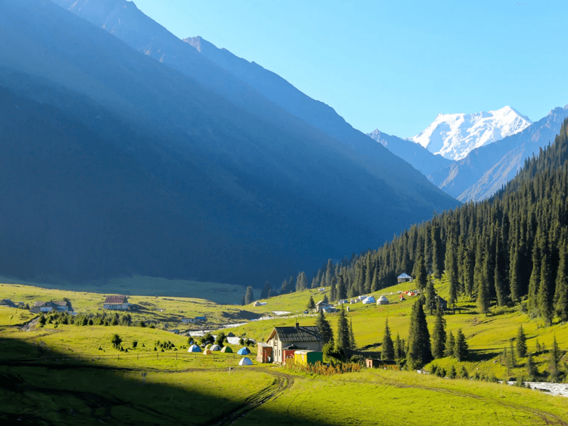 Experience the World with Minzifa Travel - Your Ultimate Travel Partner
