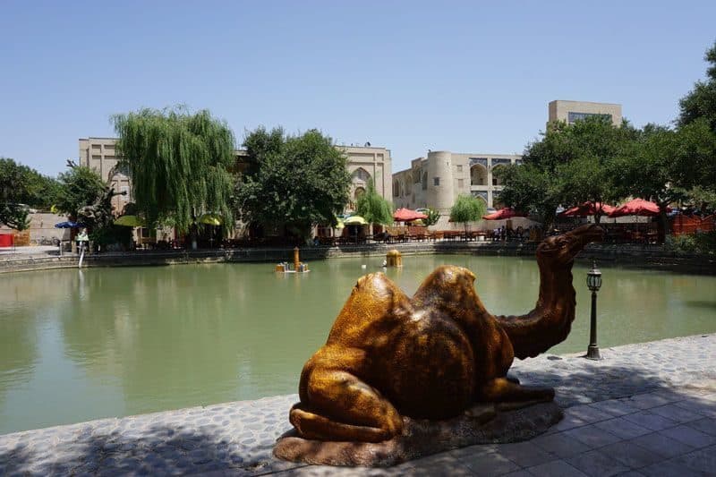 Tour Central Asia with Minzifa Travel