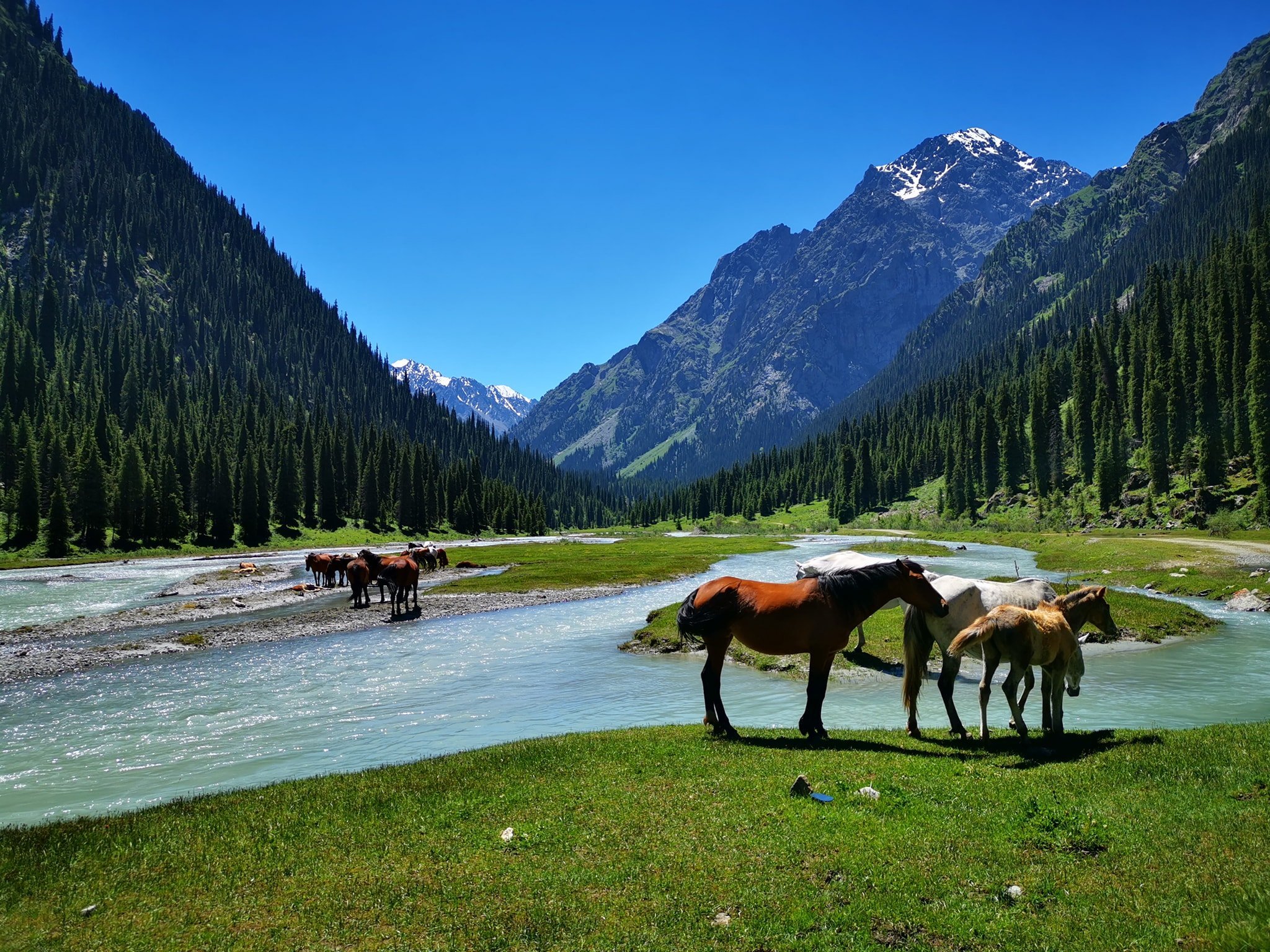 Minzifa Travel
