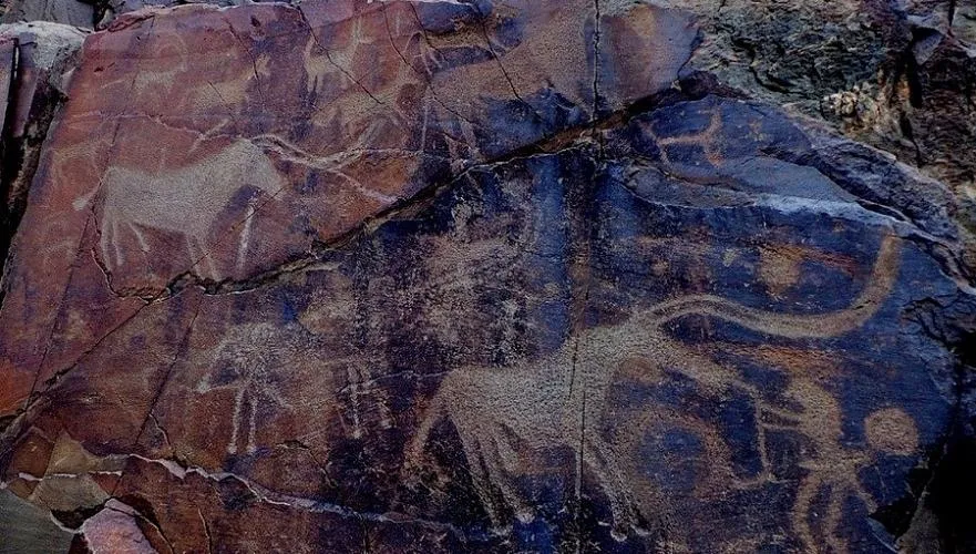 Minzifa Travel