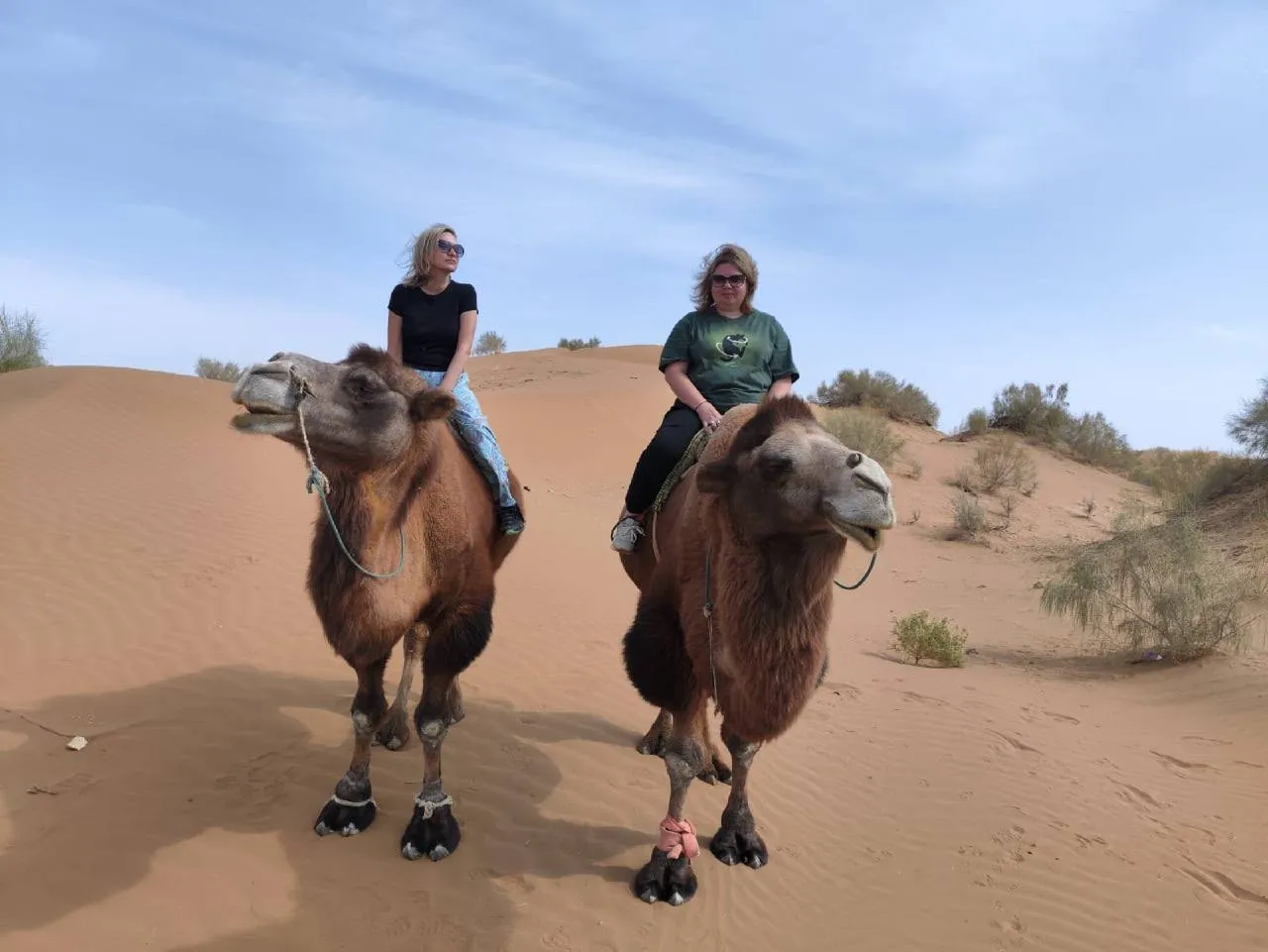 Minzifa Travel