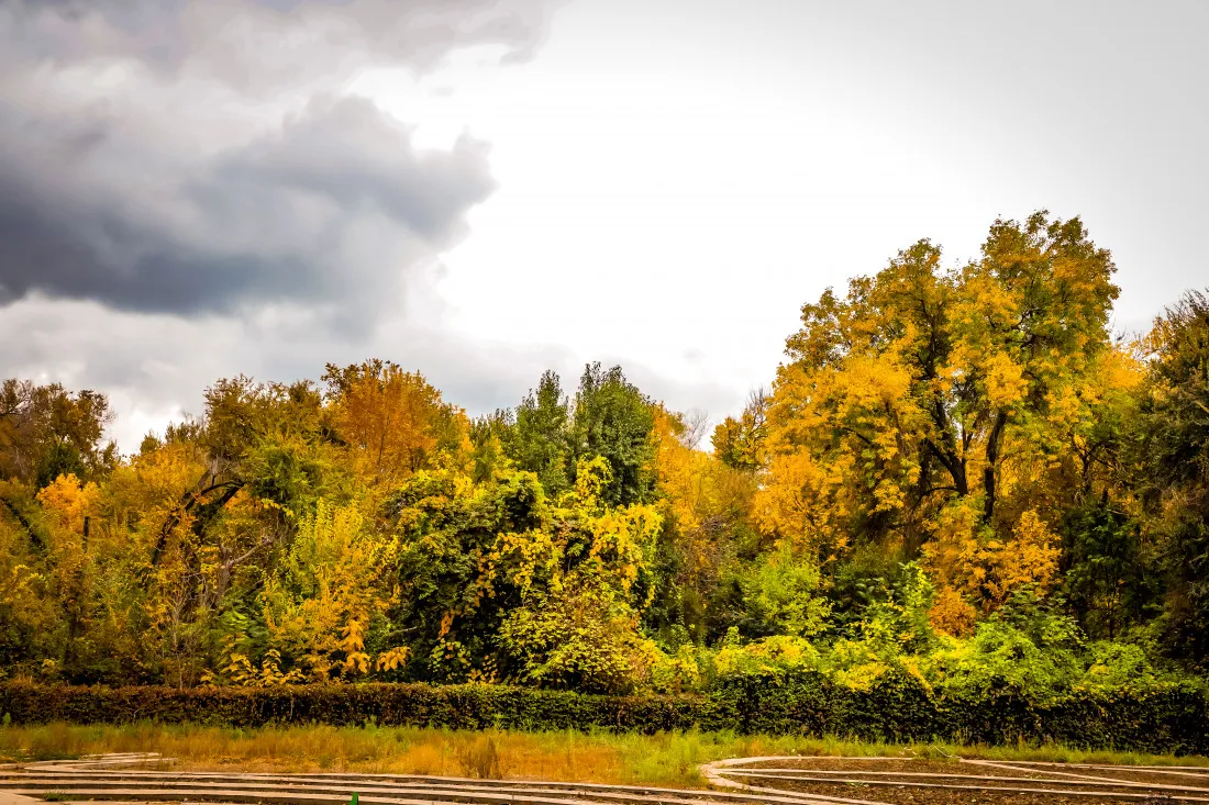 Tashkent Rusanov Botanical Garden Guide