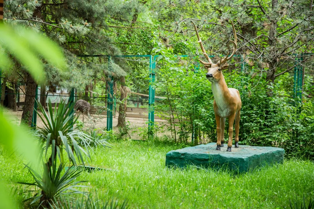 Tashkent Zoo: An Urban Oasis of Wildlife