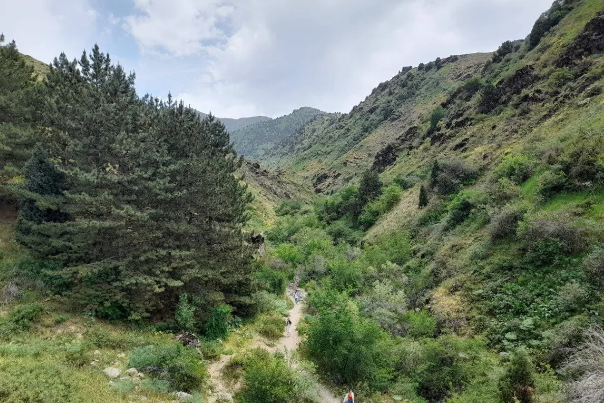 sukok_Mountain_tashkent (4)