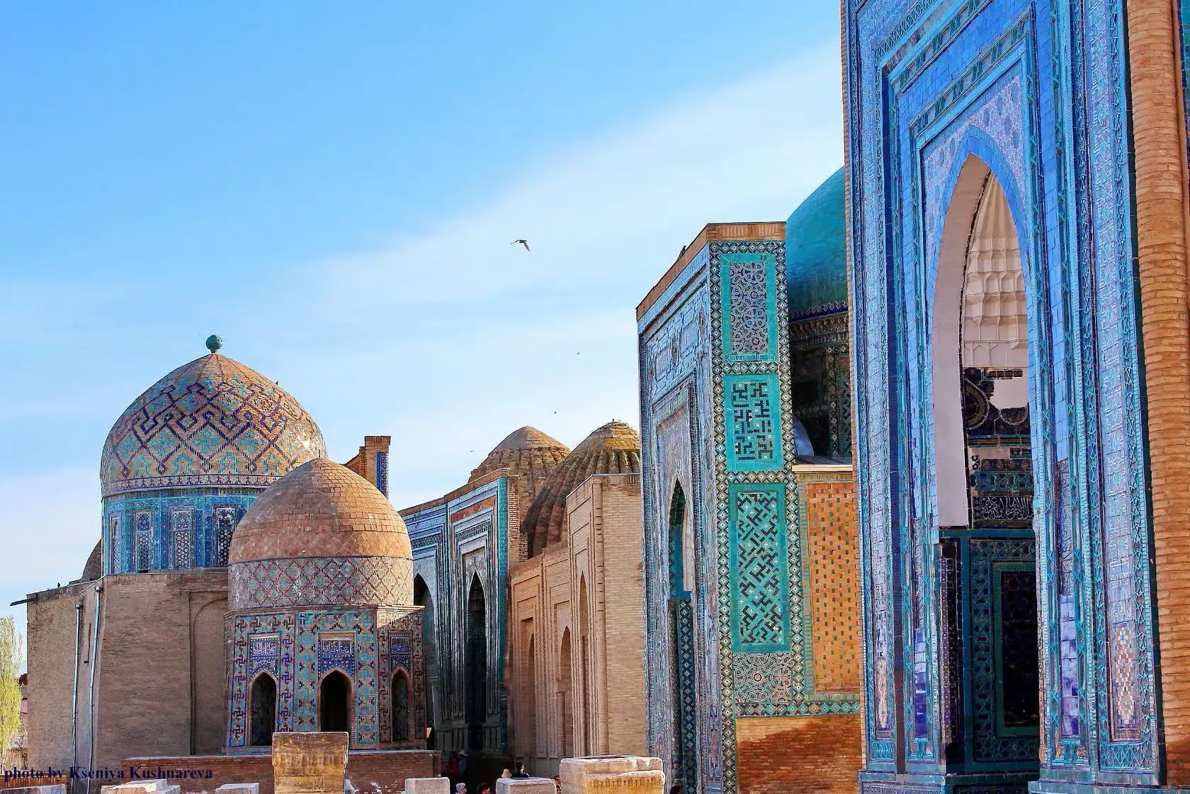 Central Asia tour guide