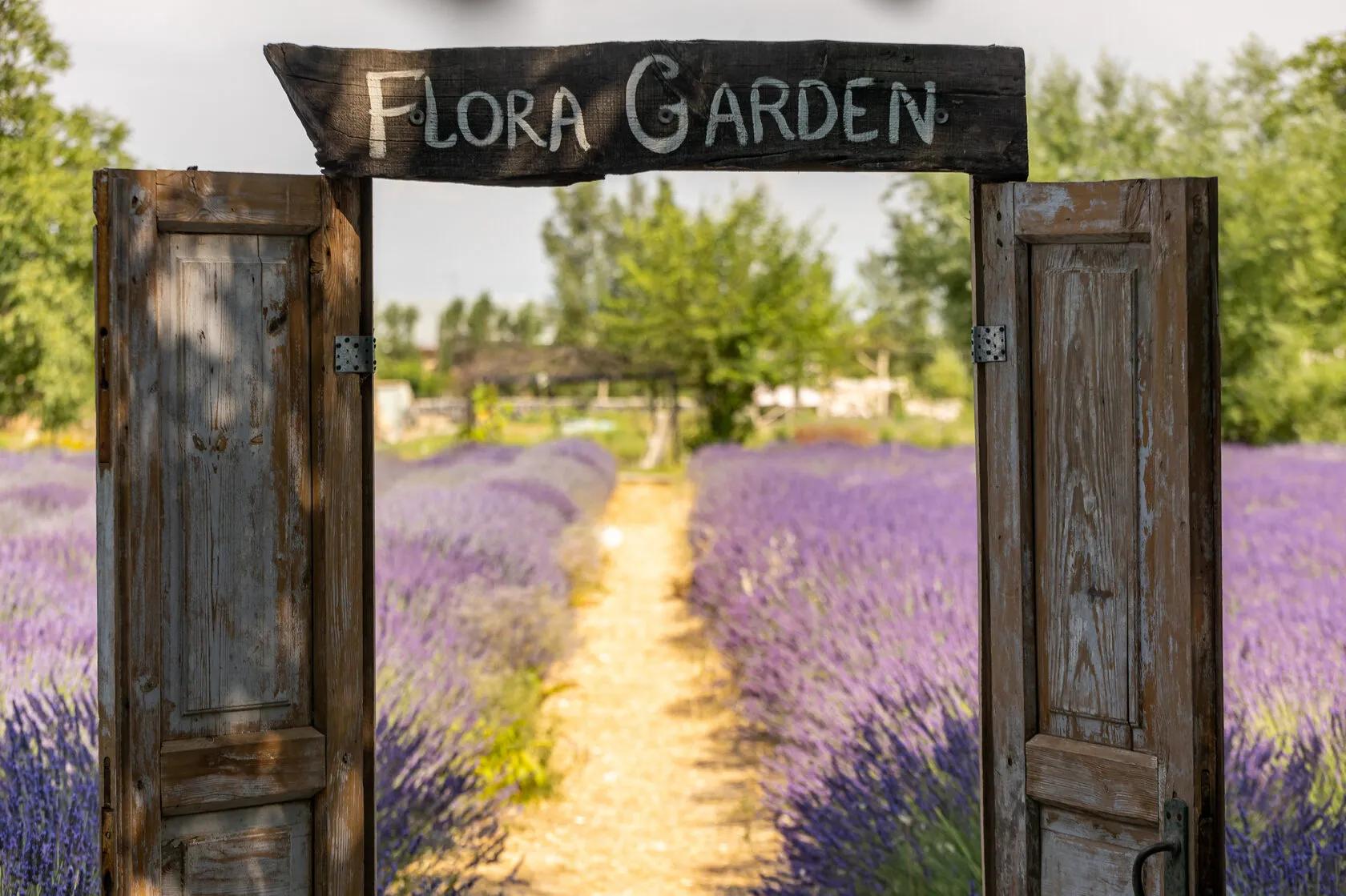 lavenda-farm-samarkand-flora-garden
