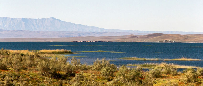 AMUDARYA nature RESERVE Aydarkul UZBEKISTAN ZAAMINSU NATURE RESERVE ZUR)  AFGHANISTA The Real Life Uzbekistan The Unrealistic