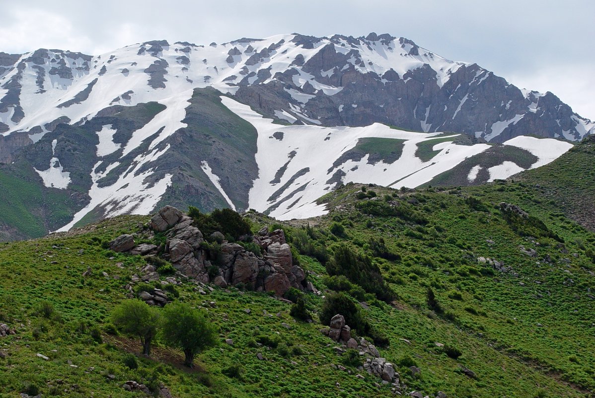 Горы чимган фото