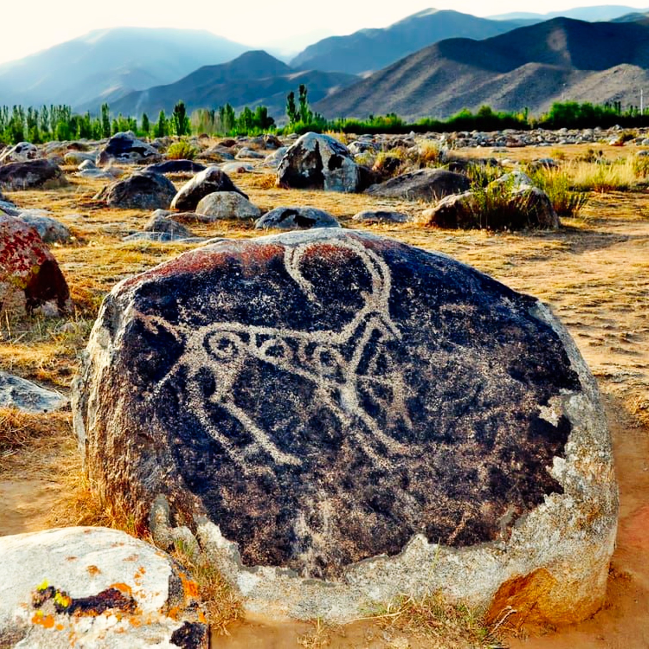 Journey to the Petroglyphs in Cholpon-Ata