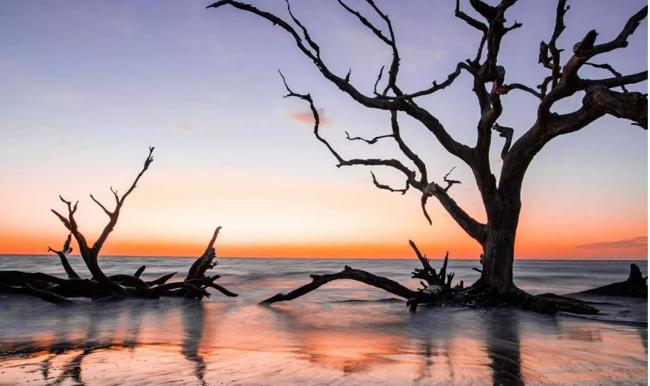 Explore Jekyll Island, GA, with Unique Airbnb Stays from Minzifa Travel